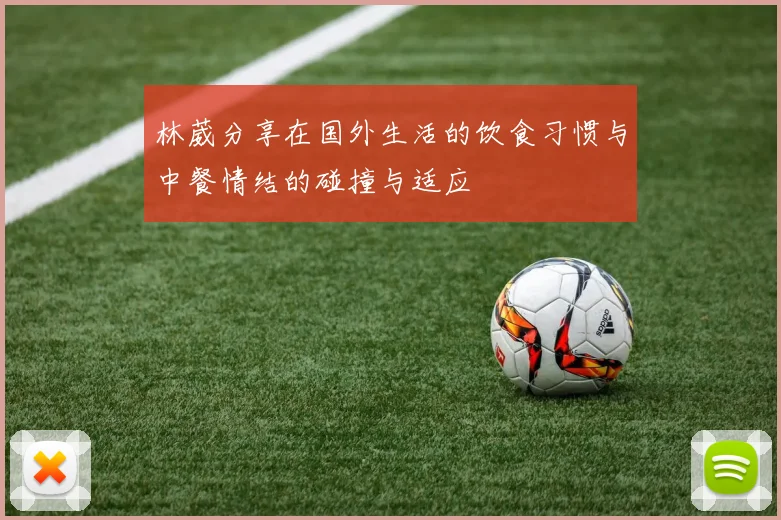 林葳分享在国外生活的饮食习惯与中餐情结的碰撞与适应
